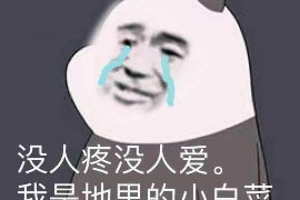 蒲城工资清欠服务